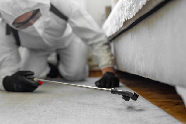 Professional Pest Control technician working in Dollar Bay, MI